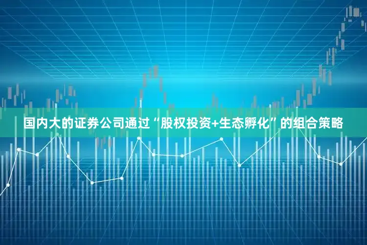 国内大的证券公司通过“股权投资+生态孵化”的组合策略