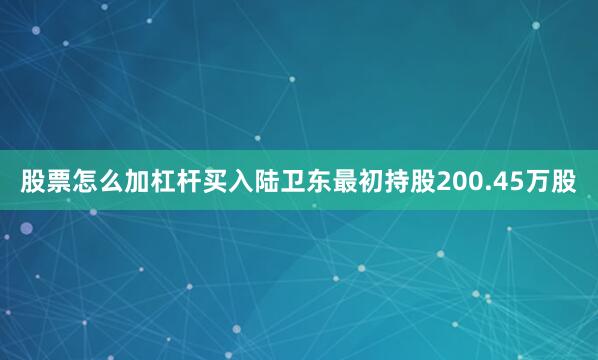 股票怎么加杠杆买入陆卫东最初持股200.45万股