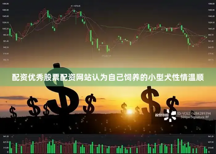 配资优秀股票配资网站认为自己饲养的小型犬性情温顺